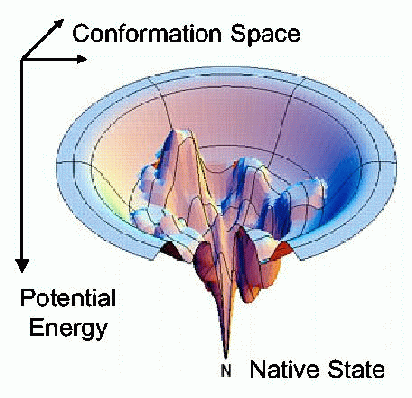 Protein Energy Landscape